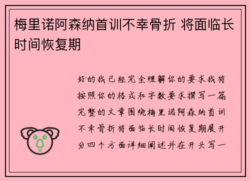 梅里诺阿森纳首训不幸骨折 将面临长时间恢复期 梅里诺阿森纳首训不幸骨折 将面临长时间恢复期
